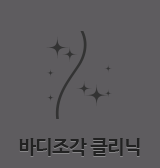 바디조각